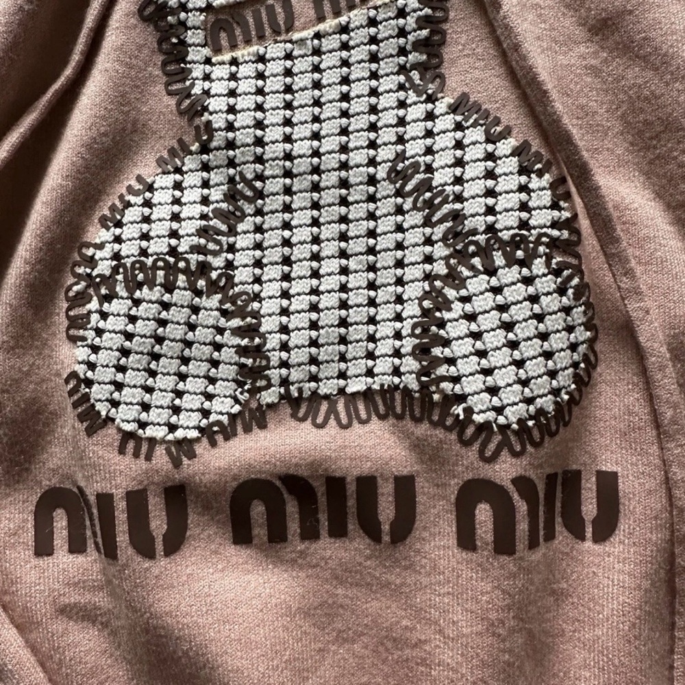 Miu Miu Blush Pink Teddy Pullover Hoodie - Picture 3 of 5